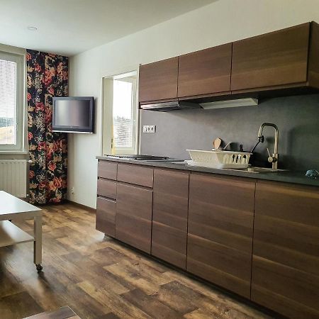 Apartmany Schmiedeberg U Klinovce Kovářská Eksteriør billede